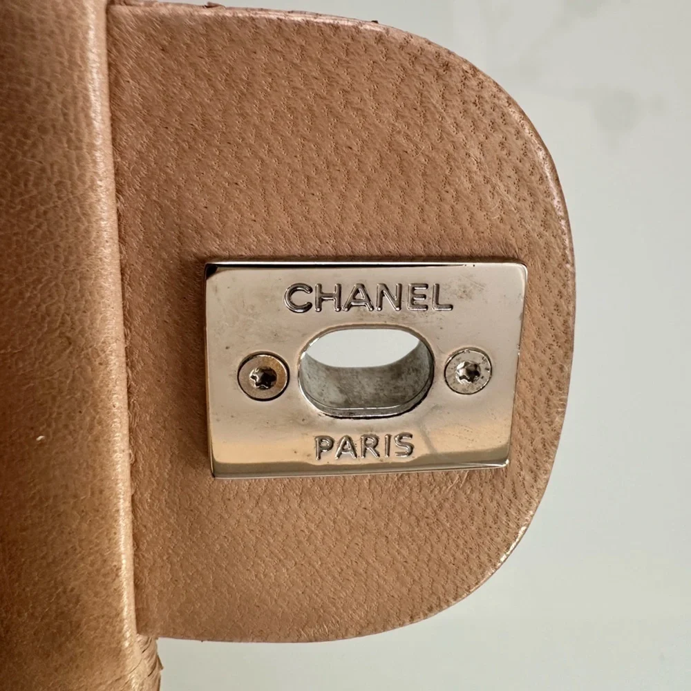 Chanel Ultimate Stitch Flap Snakeskin Crossbody Bag - Picture 12 of 17